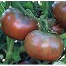 Noire de Crimee Beefsteak tomato 20 seeds